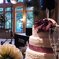 Wedding reception sound and music with cake and toast - Heritage Gardens, Utah